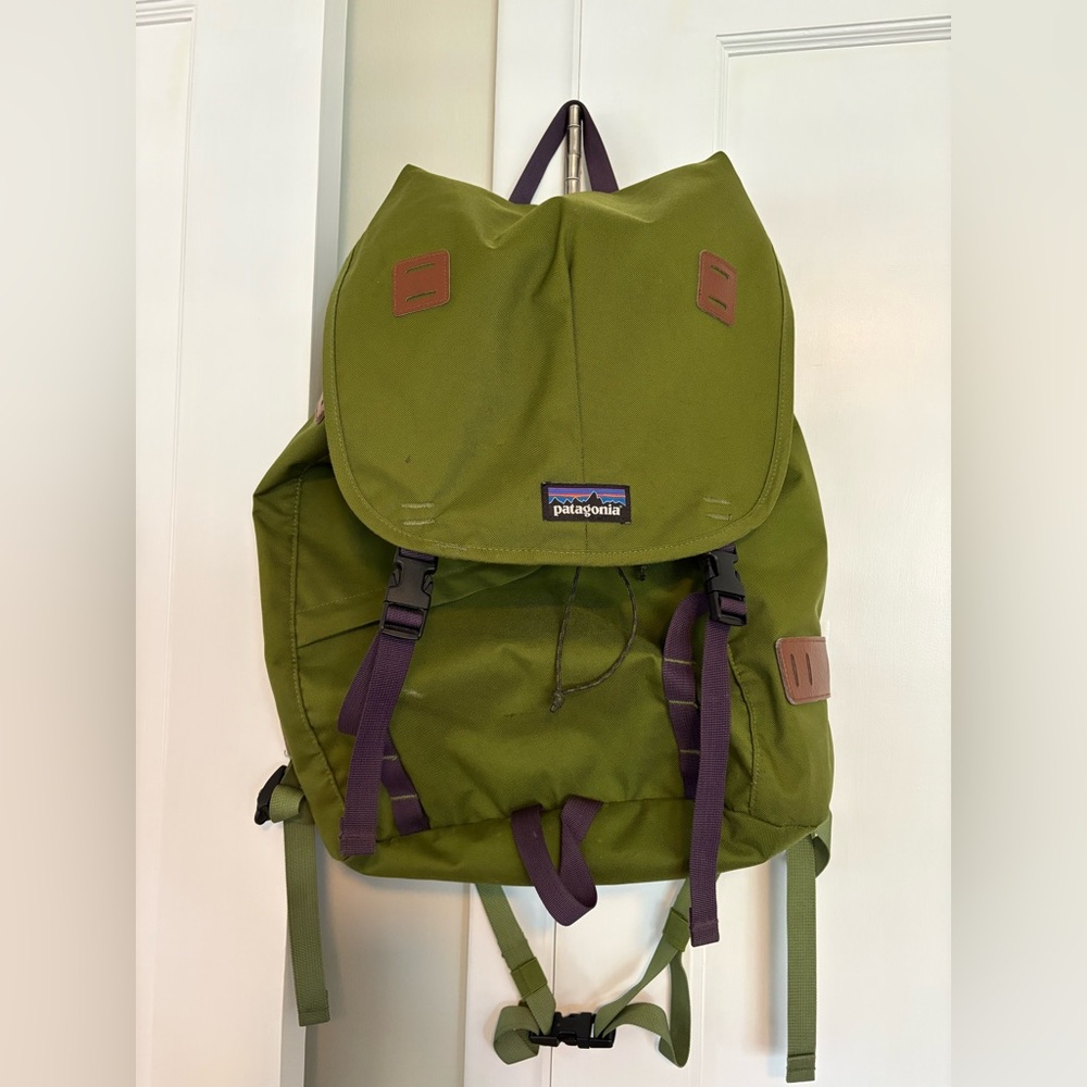 Green Patagonia backpack